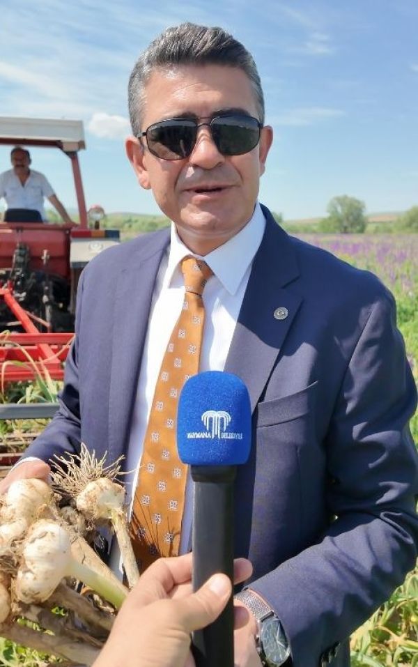 sarımsak1
