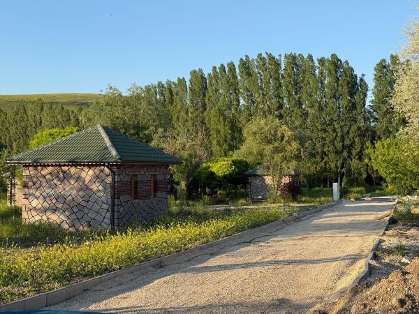 başdeğirmen1