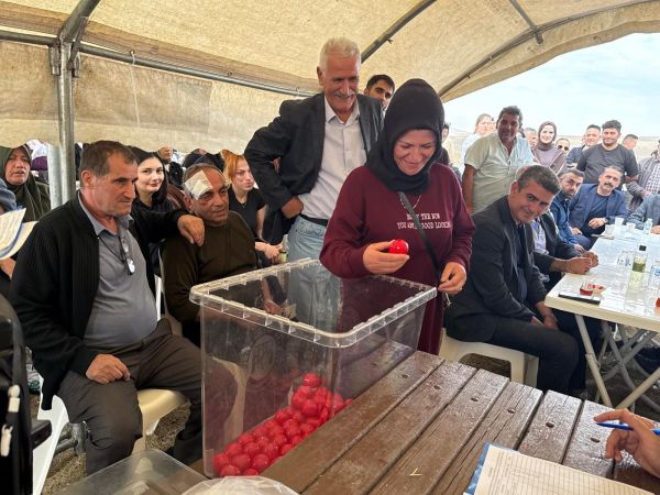 s&ouml;ğ&uuml;ttepe2