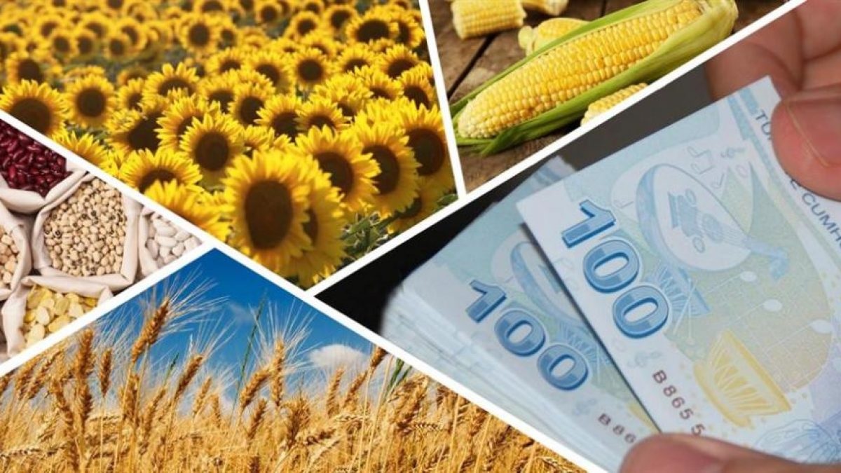 DESTEK KAYBI YAŞAMAMAK İÇİN SON GÜN