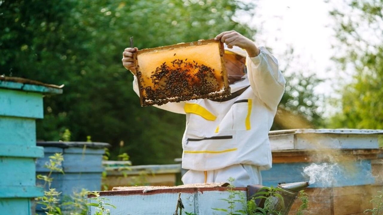 ABB’DEN ARI YETİŞTİRİCİLERİNE ÇİFTE DESTEK