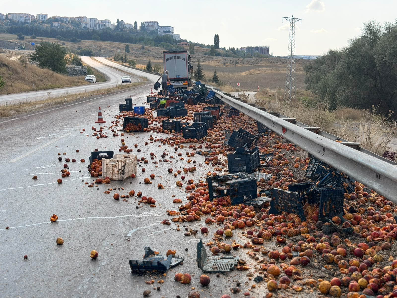 ŞEFTALİLER YOLA SAÇILDI